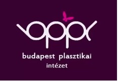 budapest plasztikai intézet
